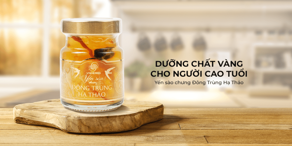 yến chưng đông trùng hạ thảo