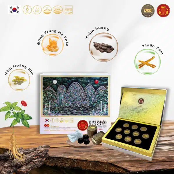 Bổ não Thiên Sâm Trầm Hương Heavenwood Hwan Hộp 10 Viên - DKG - Hình ảnh 3