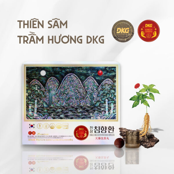 Bổ não Thiên Sâm Trầm Hương Heavenwood Hwan Hộp 10 Viên - DKG - Hình ảnh 2